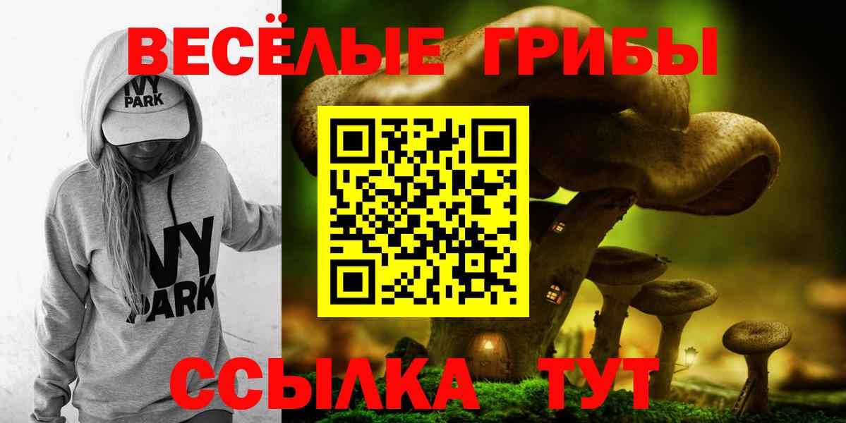 Златоуст  купить   Вход с VPN  Псилоцибиновые грибы ЛСД 